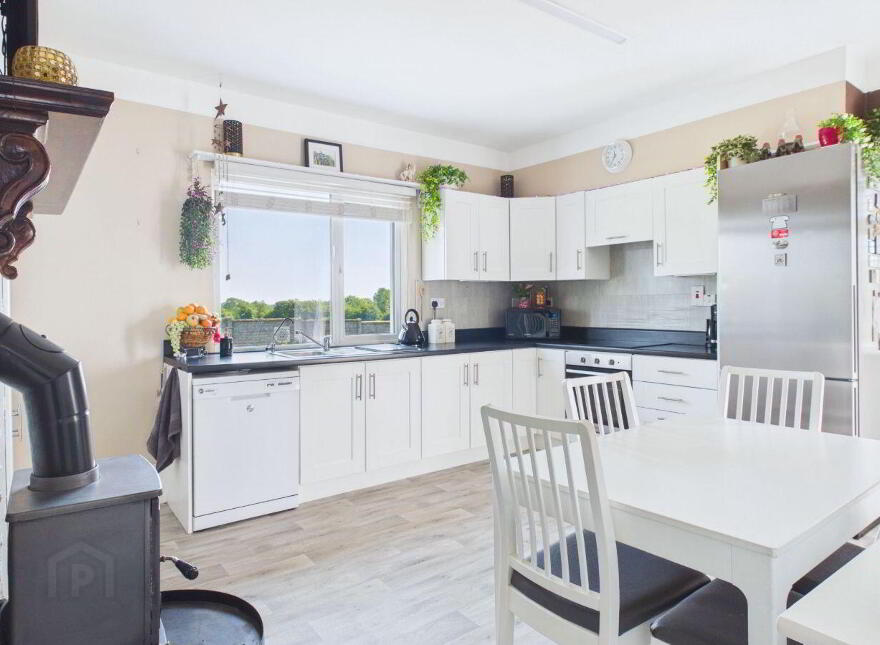 Killasmeestia, Ballybrophy, Borris-In-Ossory, R32YW65