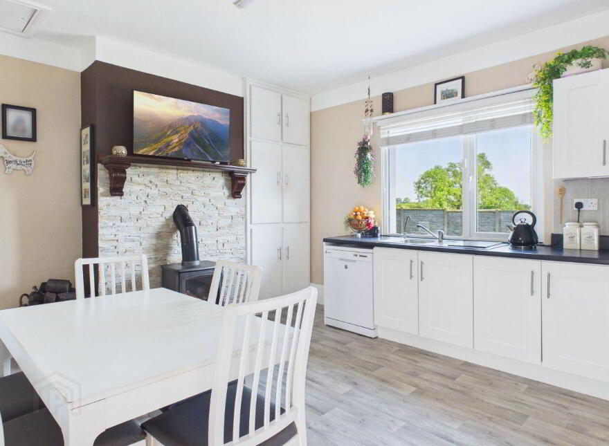 Killasmeestia, Ballybrophy, Borris-In-Ossory, R32YW65