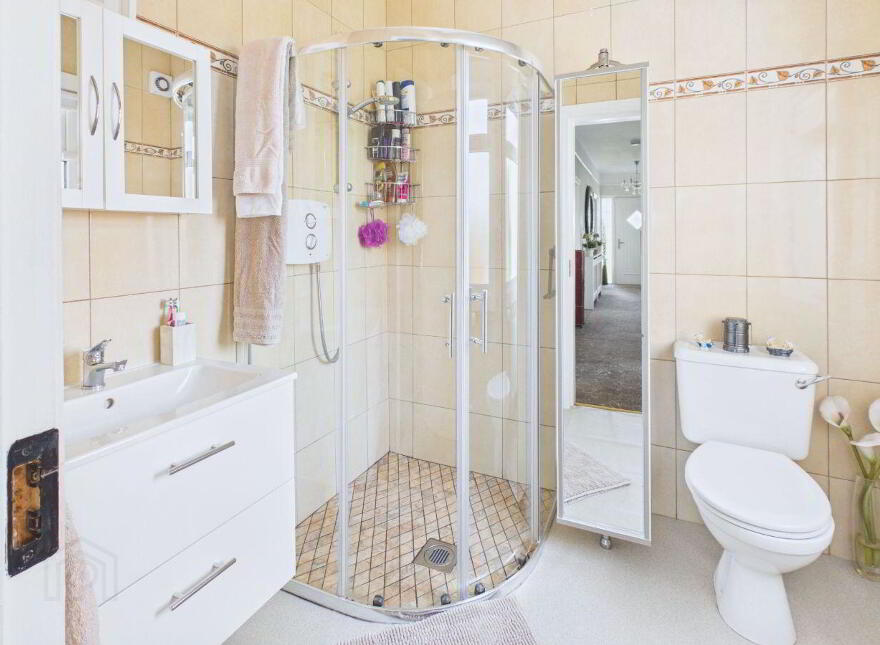 Killasmeestia, Ballybrophy, Borris-In-Ossory, R32YW65
