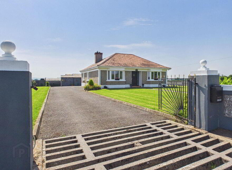 Killasmeestia, Ballybrophy, Borris-In-Ossory, R32YW65