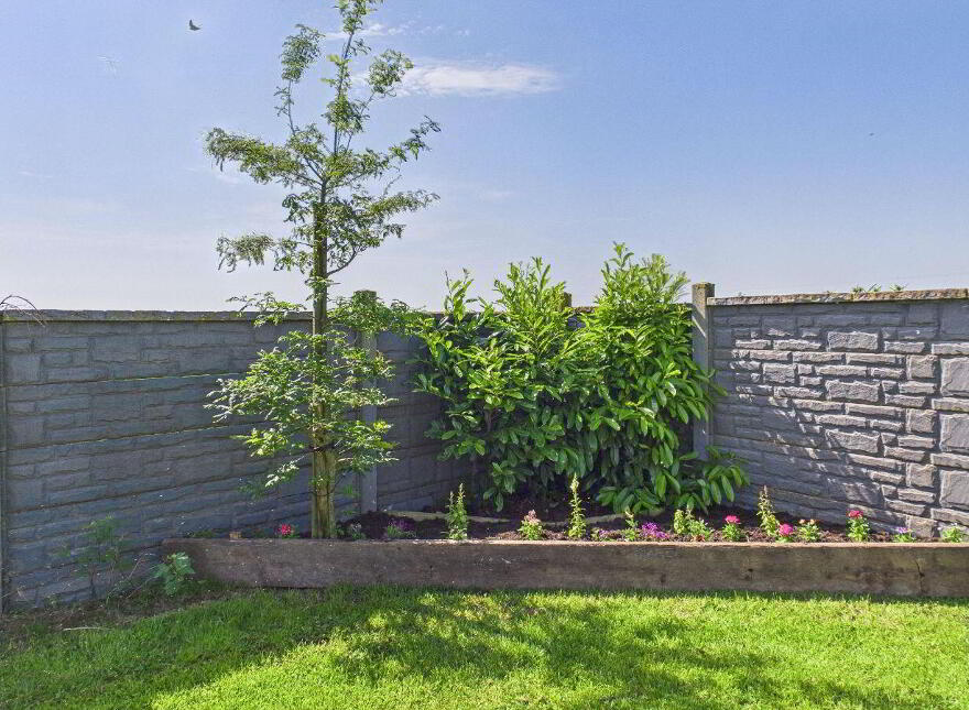 Killasmeestia, Ballybrophy, Borris-In-Ossory, R32YW65