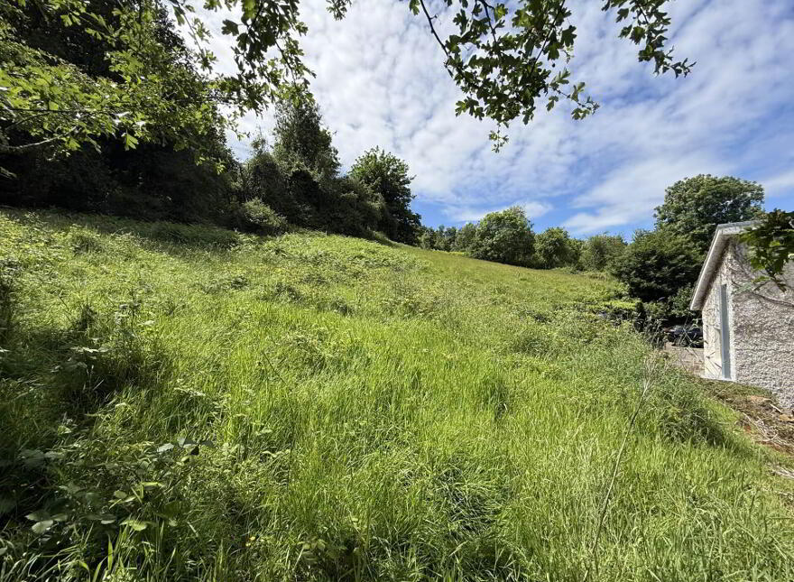 Tickincor, Clonmel, E91NP59