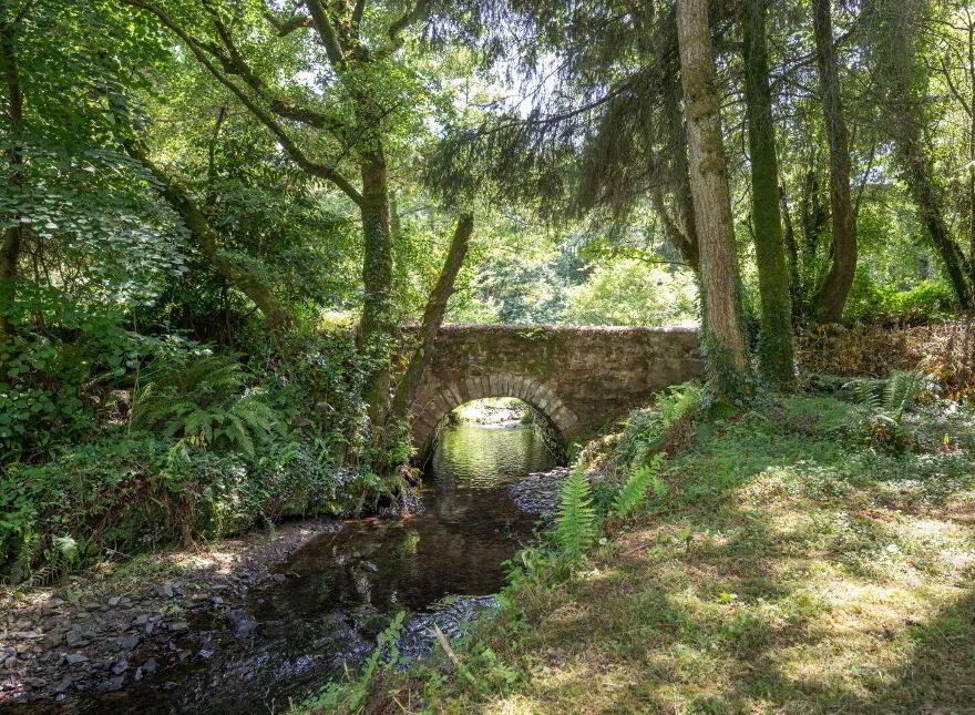 Bothar Glas, Kilmoney, Carrigaline, P43C307