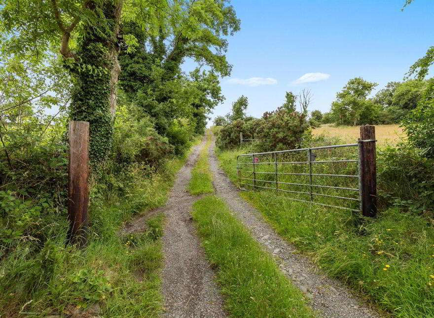 246 Ballynahinch Road, Dromore, BT25 1EU