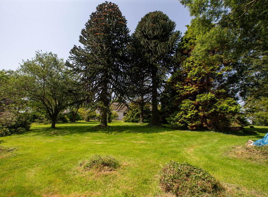 'Juniper Cottage', 30 Ballyloughlin Road, Dundrum, Newcastle, BT33 0QG