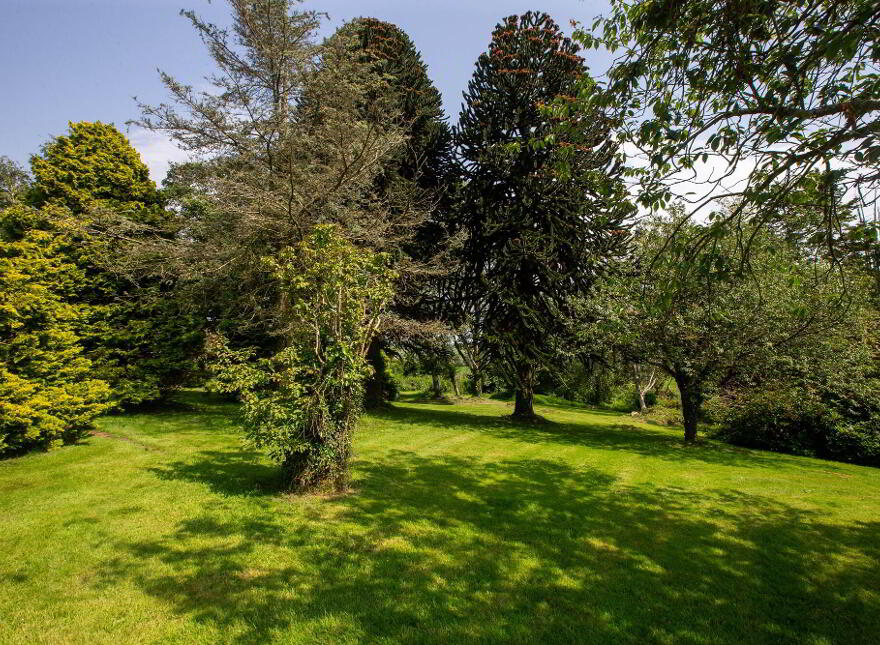 'Juniper Cottage', 30 Ballyloughlin Road, Dundrum, Newcastle, BT33 0QG