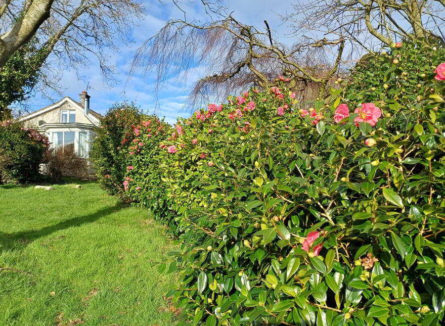 'Juniper Cottage', 30 Ballyloughlin Road, Dundrum, Newcastle, BT33 0QG