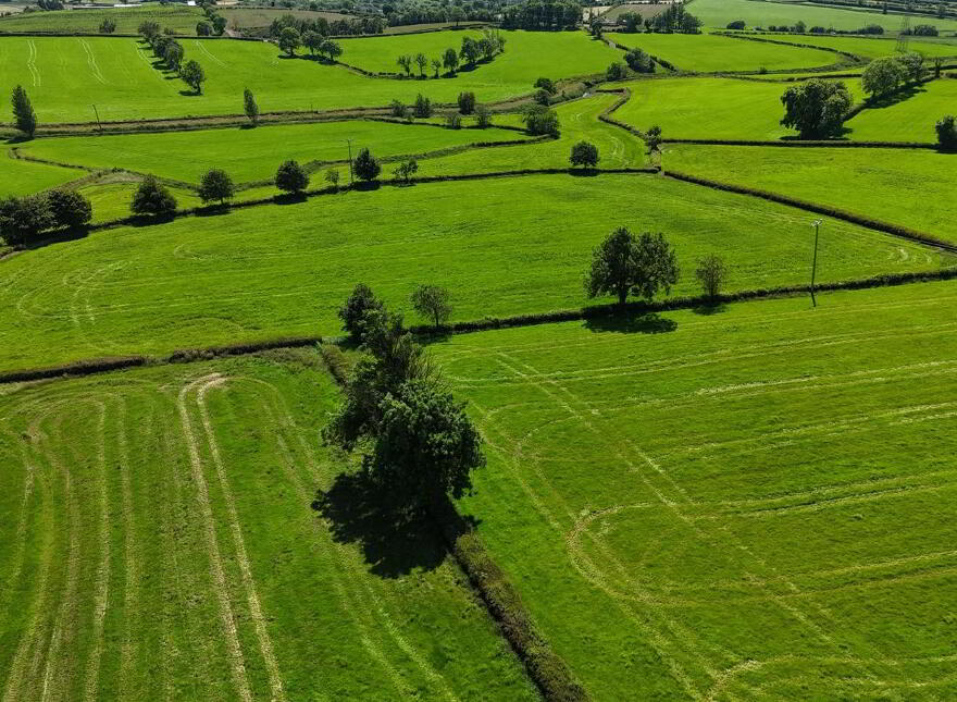 Aghlish Road, Dromore, Omagh, BT78 3HD