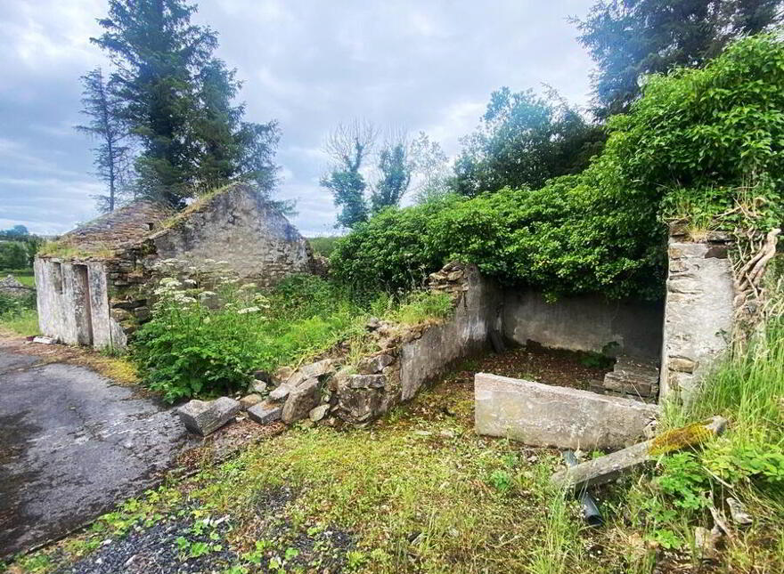 Drimcoe, Mountcharles, F94N253
