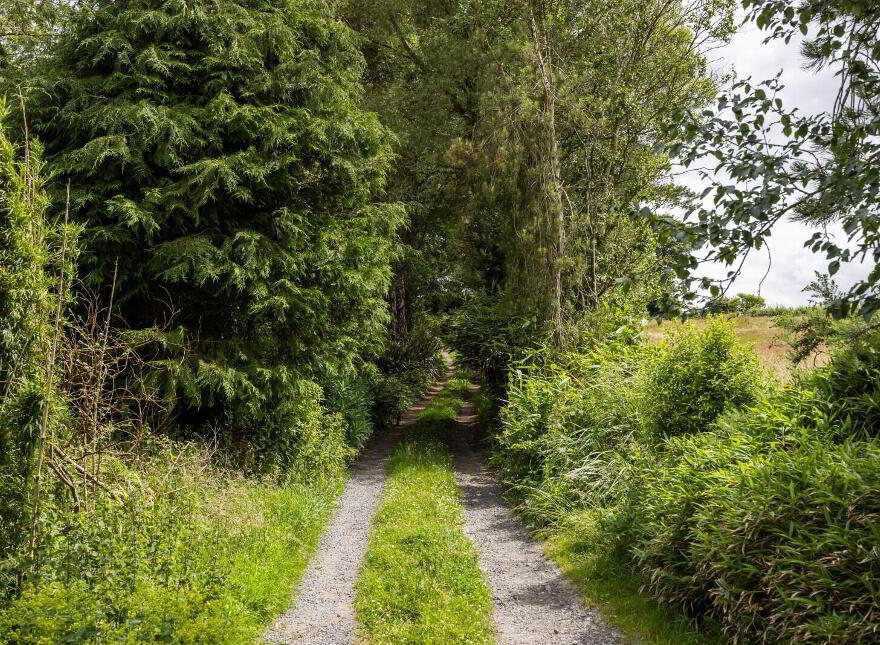 Small Holding + Potential Site, 'The Grange', 35 Ballyrogan Park, Newtownards, BT23 4SD