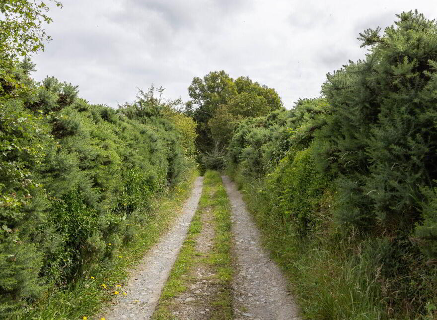 Small Holding + Potential Site, 'The Grange', 35 Ballyrogan Park, Newtownards, BT23 4SD