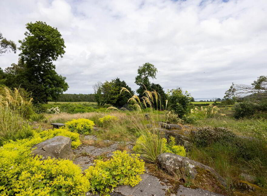 Small Holding + Potential Site, 'The Grange', 35 Ballyrogan Park, Newtownards, BT23 4SD