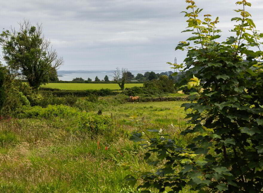 Small Holding + Potential Site, 'The Grange', 35 Ballyrogan Park, Newtownards, BT23 4SD