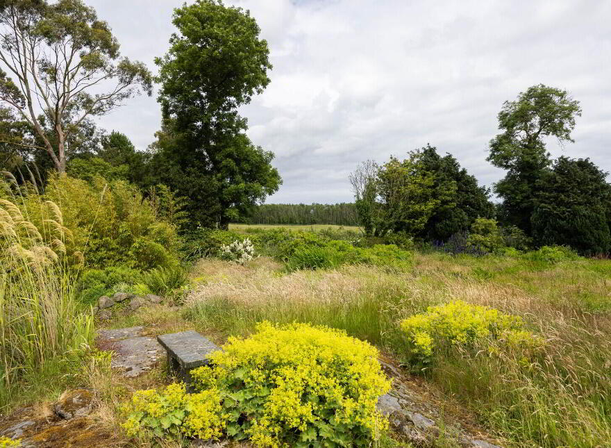 Small Holding + Potential Site, 'The Grange', 35 Ballyrogan Park, Newtownards, BT23 4SD