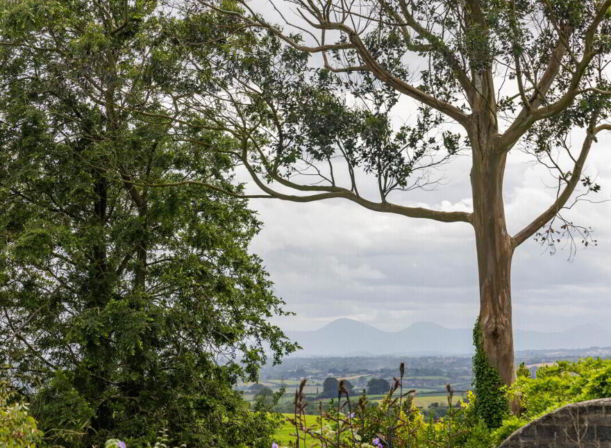 Small Holding + Potential Site, 'The Grange', 35 Ballyrogan Park, Newtownards, BT23 4SD