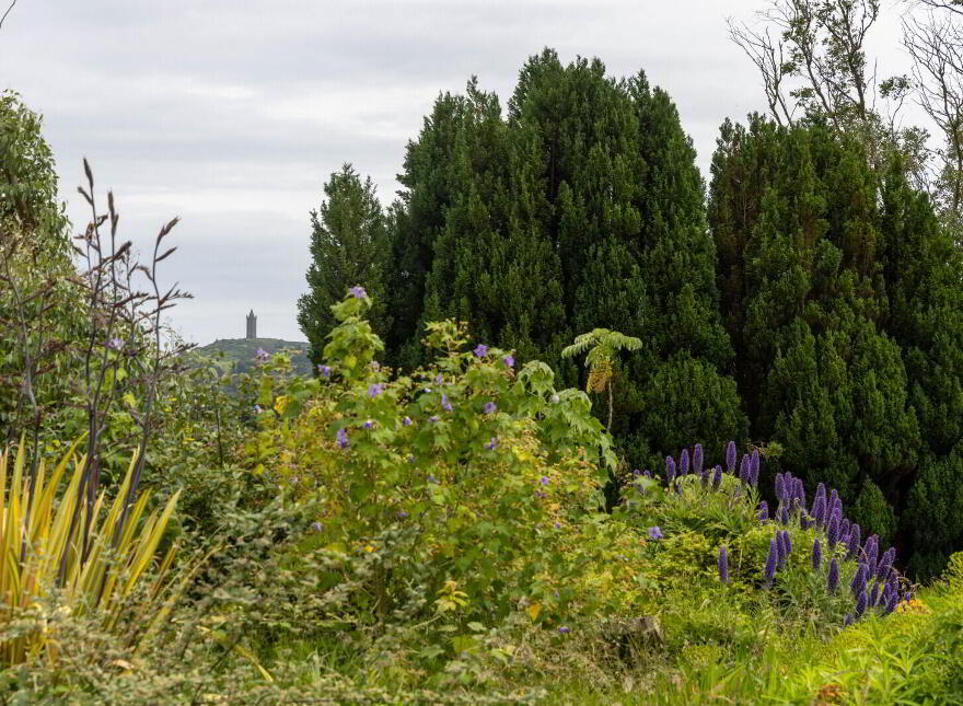 Small Holding + Potential Site, 'The Grange', 35 Ballyrogan Park, Newtownards, BT23 4SD