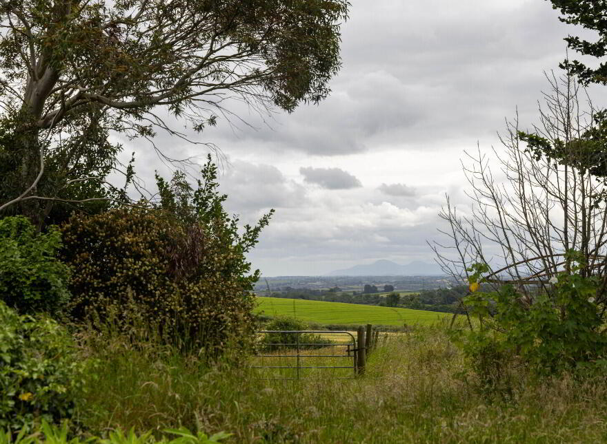 Small Holding + Potential Site, 'The Grange', 35 Ballyrogan Park, Newtownards, BT23 4SD