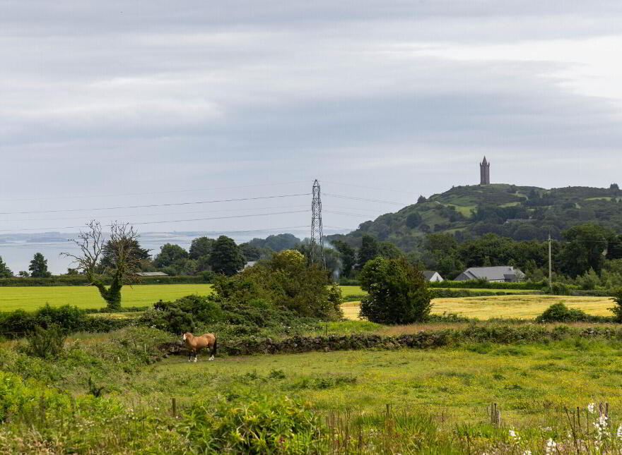 Small Holding + Potential Site, 'The Grange', 35 Ballyrogan Park, Newtownards, BT23 4SD