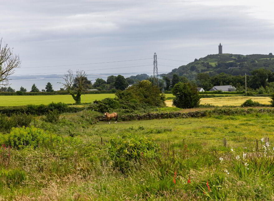 Small Holding + Potential Site, 'The Grange', 35 Ballyrogan Park, Newtownards, BT23 4SD