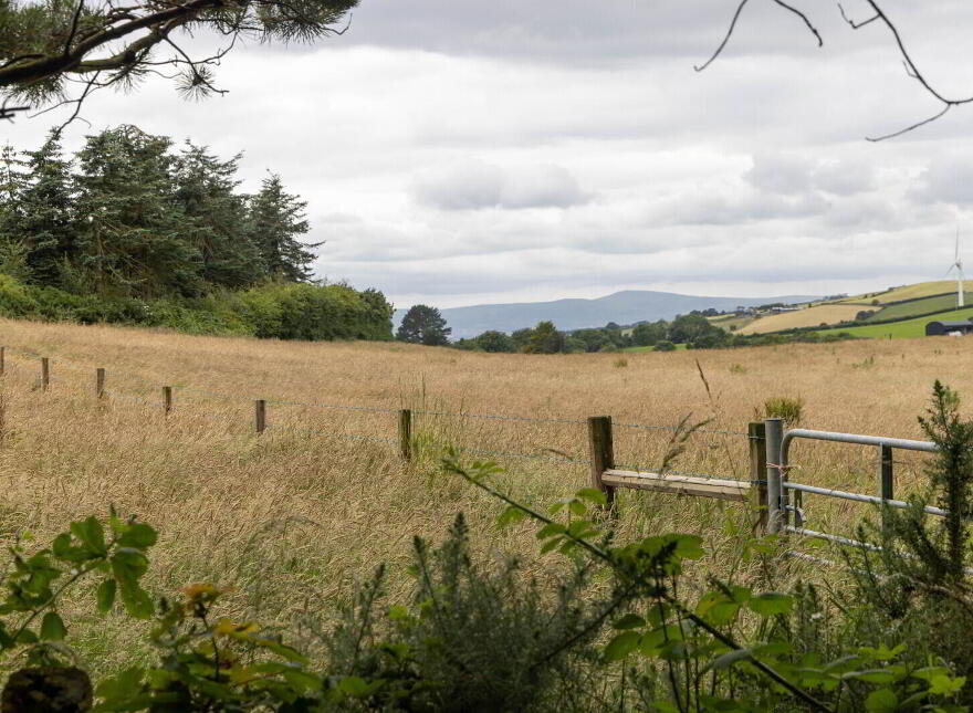 Small Holding + Potential Site, 'The Grange', 35 Ballyrogan Park, Newtownards, BT23 4SD