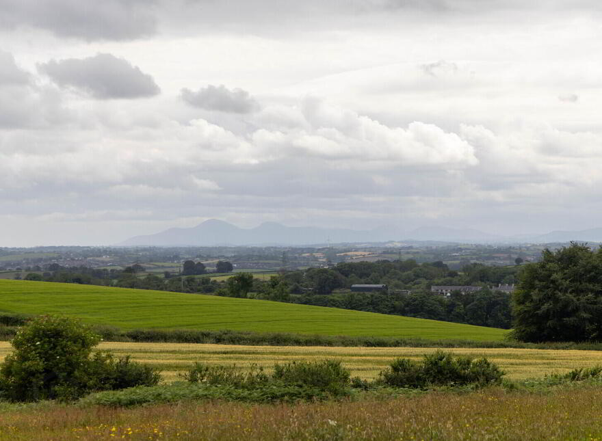 Small Holding + Potential Site, 'The Grange', 35 Ballyrogan Park, Newtownards, BT23 4SD