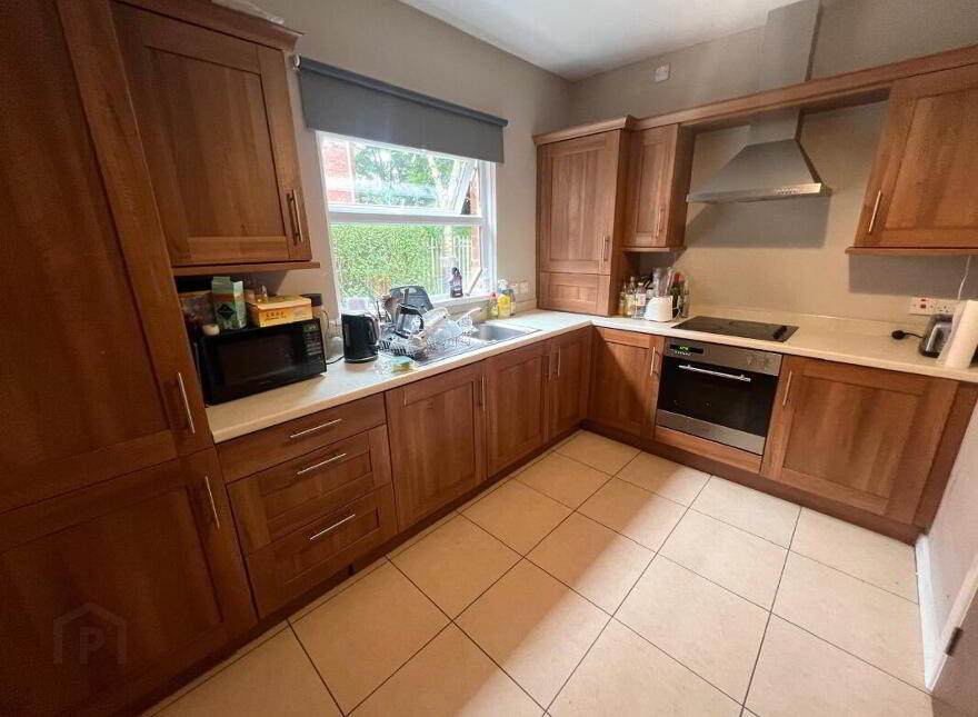 Apt 1, 38 San Souci Park, Belfast, BT9 5BZ
