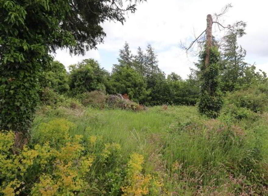 Killytogher, Crosserlough, A82CA29