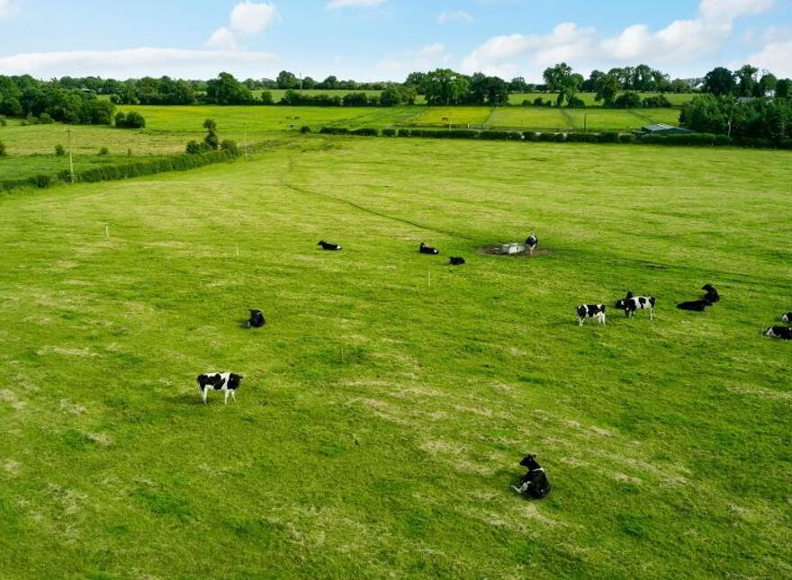 19 Acres, Ballyburly, Rhode, Tullamore