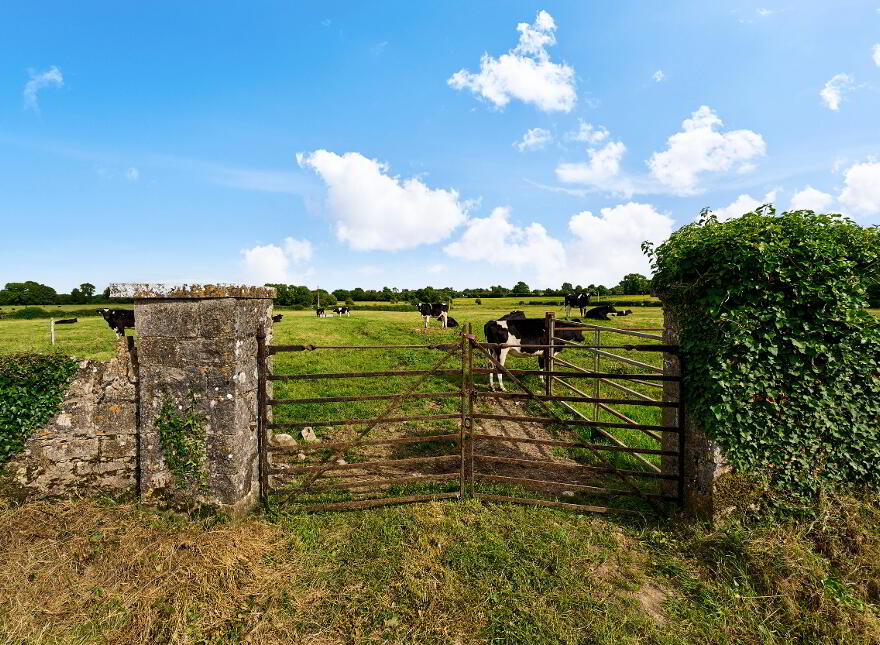 19 Acres, Ballyburly, Rhode, Tullamore