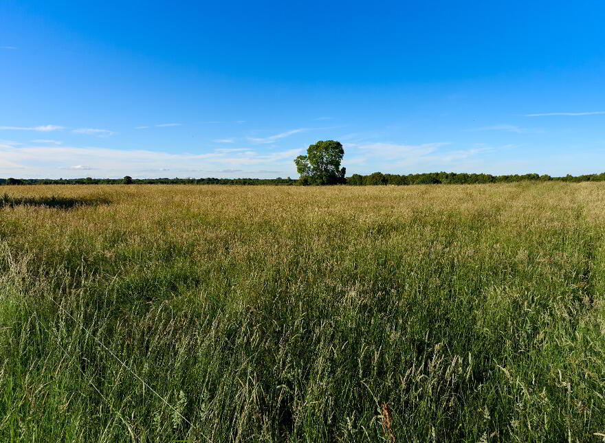 118 Acres, Monaghanstown, Castletown-Geoghegan