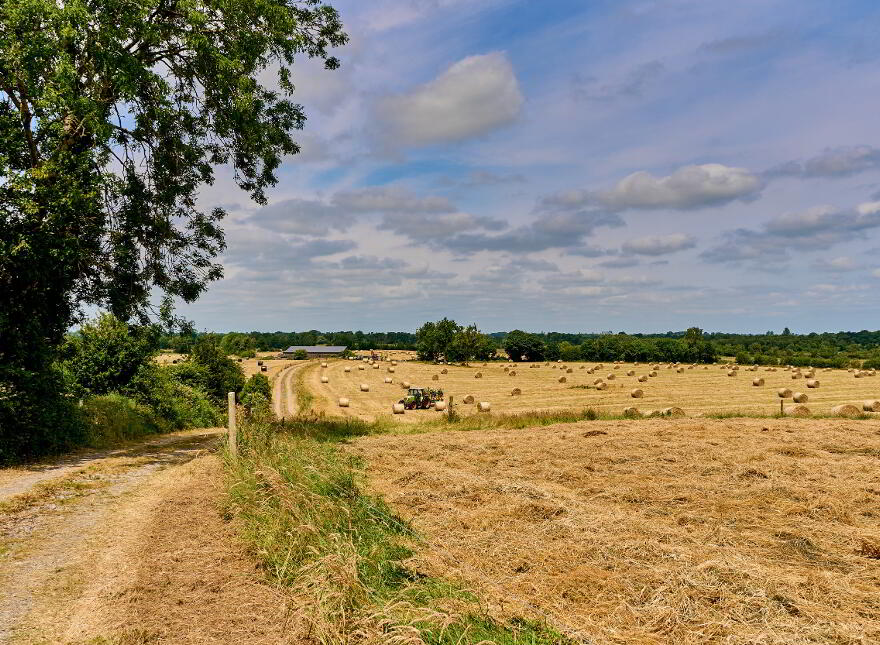 118 Acres, Monaghanstown, Castletown-Geoghegan