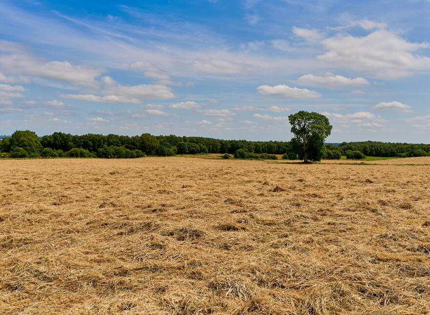 118 Acres, Monaghanstown, Castletown-Geoghegan