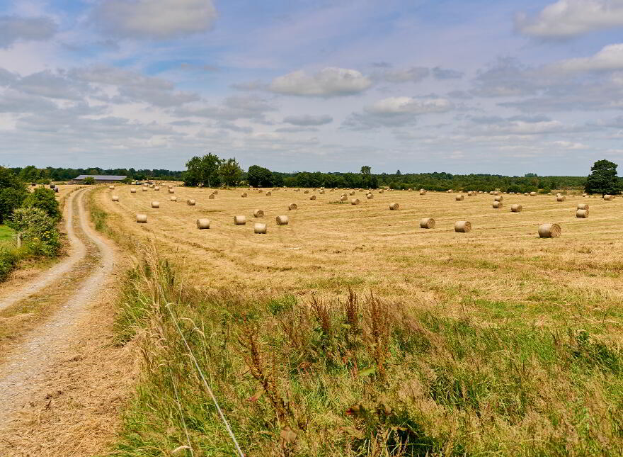 118 Acres, Monaghanstown, Castletown-Geoghegan
