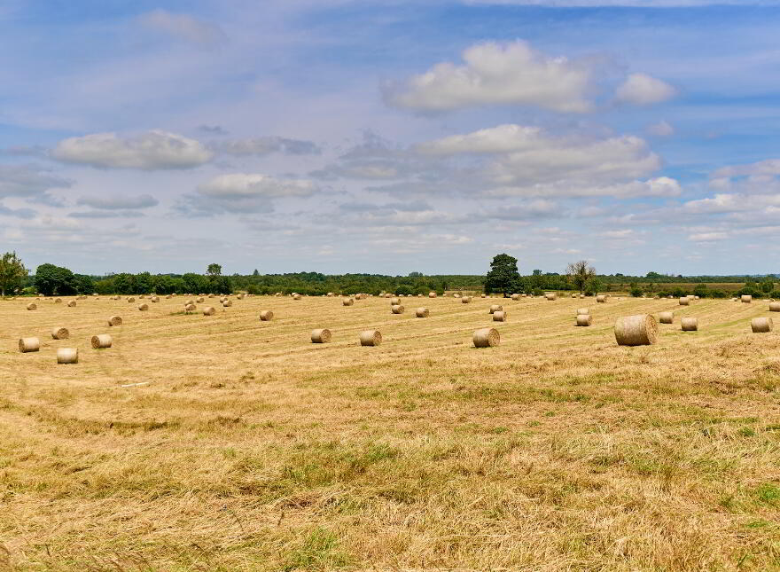 118 Acres, Monaghanstown, Castletown-Geoghegan