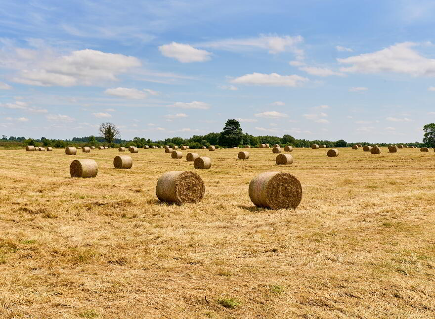 118 Acres, Monaghanstown, Castletown-Geoghegan