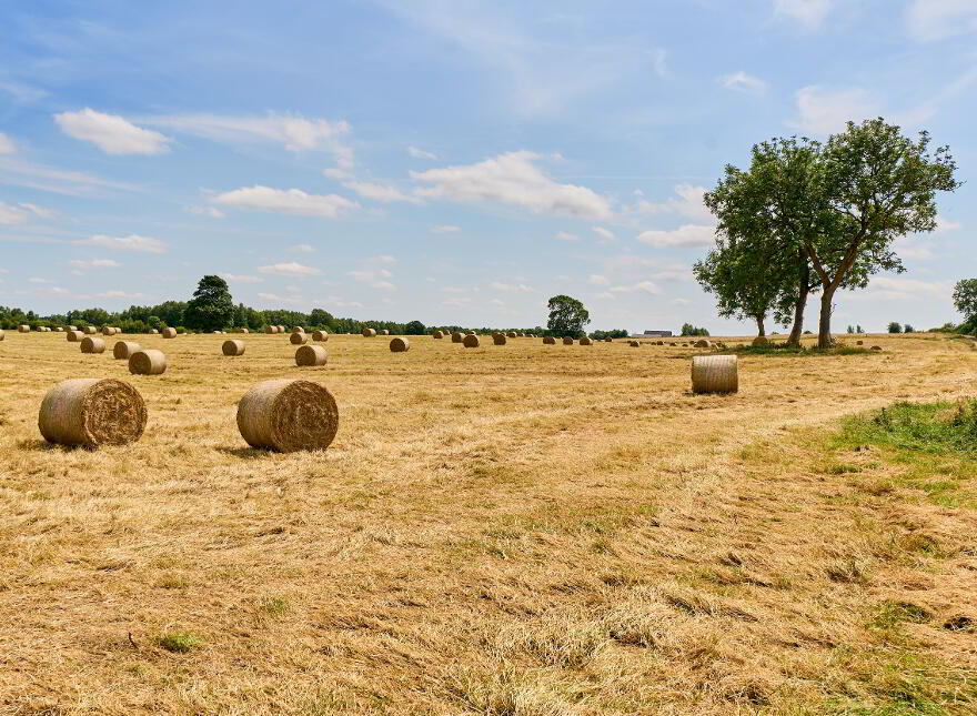 118 Acres, Monaghanstown, Castletown-Geoghegan