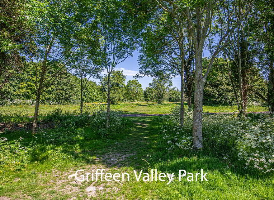1 Haydens Park View, Lucan, K78EY74