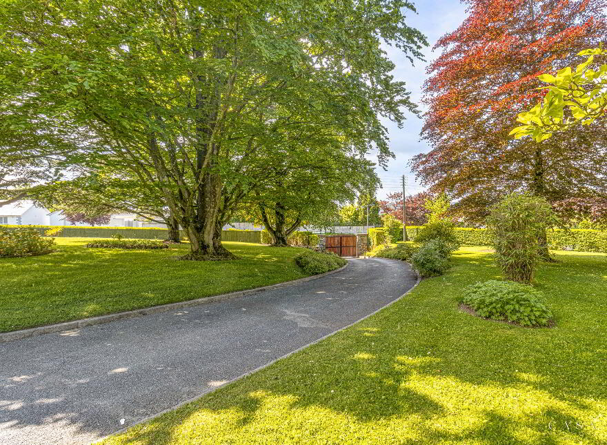 Four Winds, Carlow Town, Carlow Town, R93Y893