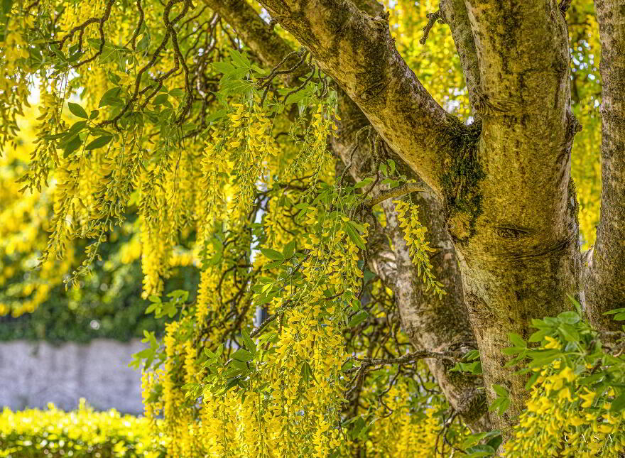 Four Winds, Carlow Town, Carlow Town, R93Y893