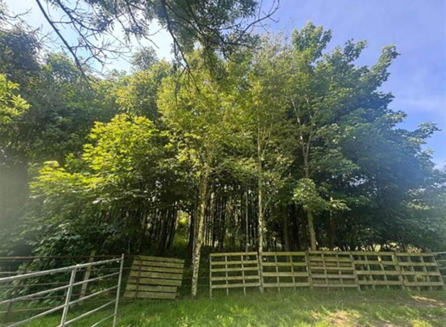 Circa 41 Acres Of Land, Bishopscourt Road