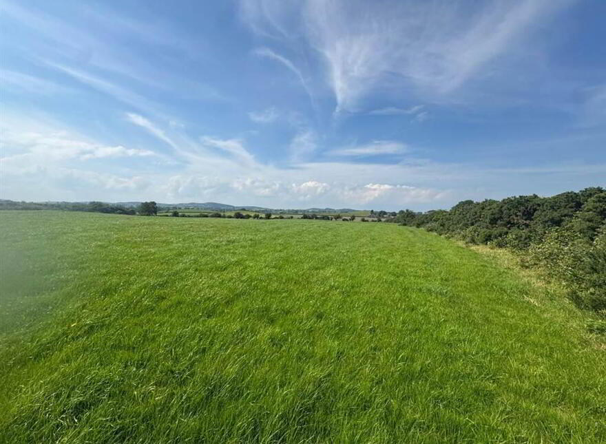 Circa 41 Acres Of Land, Bishopscourt Road