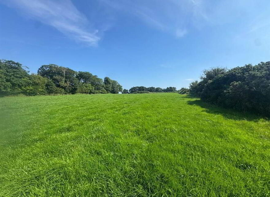 Circa 41 Acres Of Land, Bishopscourt Road