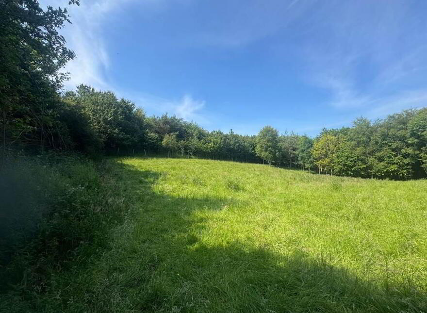 Circa 41 Acres Of Land, Bishopscourt Road