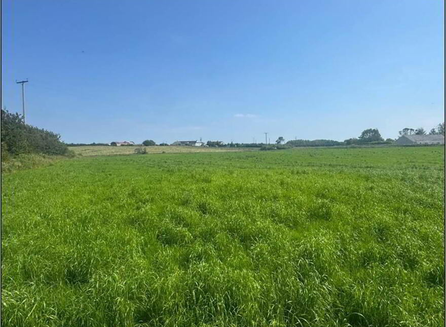 Circa 41 Acres Of Land, Bishopscourt Road