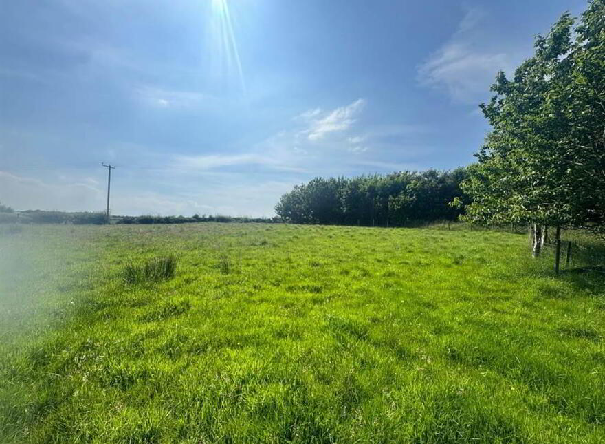 Circa 41 Acres Of Land, Bishopscourt Road