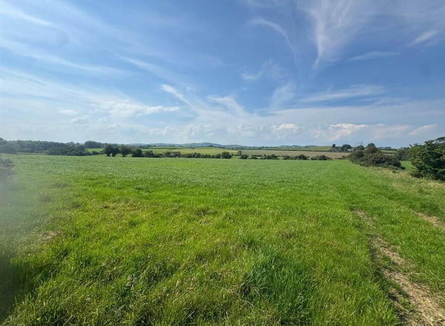 Circa 41 Acres Of Land, Bishopscourt Road
