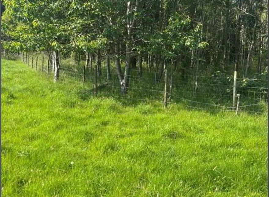 Circa 41 Acres Of Land, Bishopscourt Road