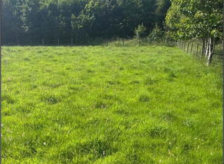 Circa 41 Acres Of Land, Bishopscourt Road
