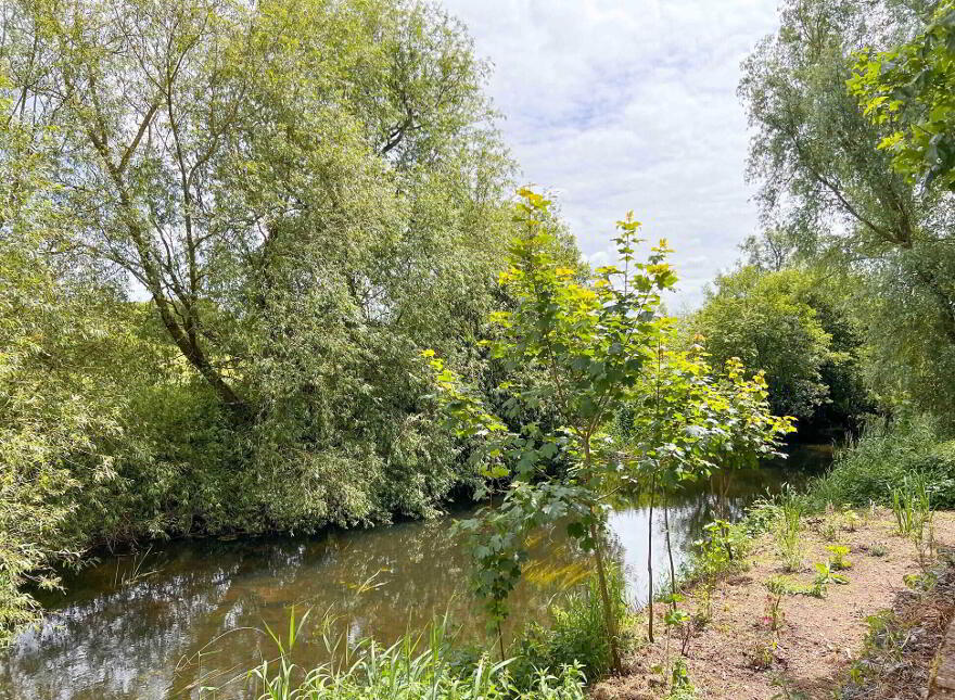 9B The Willows, Clongour, Thurles, E41AK74