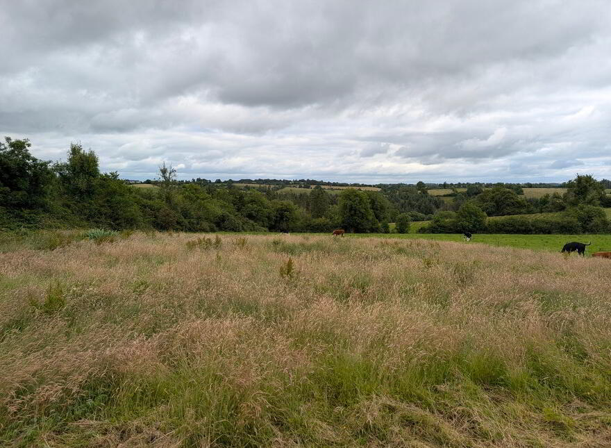 Bredagh, Carrigallen, H12YE68